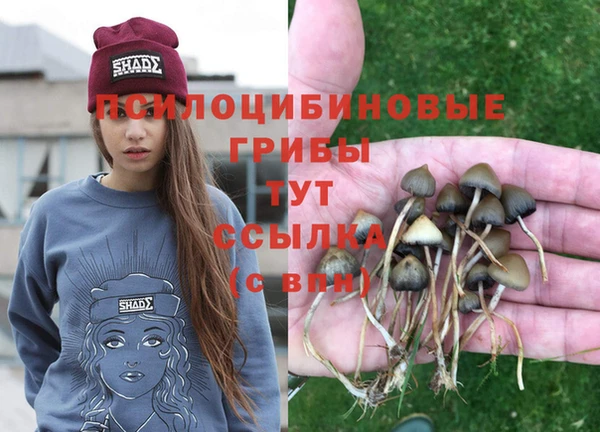 прущий лед Алексин