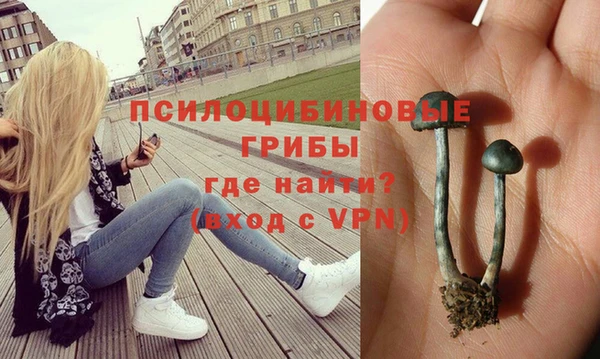 MDMA Premium VHQ Ростов