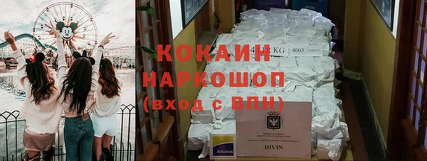 бошки Алзамай