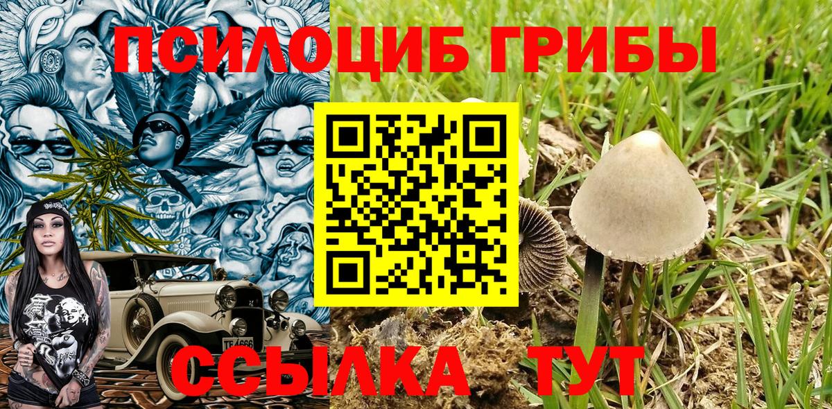 Галлюциногенные грибы мухоморы Балашов